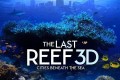 《最后的珊瑚礁》 (2012) 4K REMUX(蓝光 原盘) 中英外挂字幕