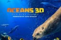 《海洋：我们的蓝色星球》 (2018) 4K REMUX (蓝光 原盘) 中字外挂字幕