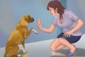 狗狗基本训练技巧视频教程
