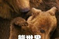 《熊世界》(2014) 1080P REMUX(蓝光 原盘) 中英外挂字幕