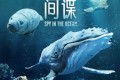 《海洋间谍》 (2023) 纪录片 1080P 中字硬字幕