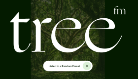 Tree.FM：收听世界各地的森林之音｜39 座森林的真实录音