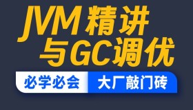 尚硅谷：JVM精讲与GC调优教程 精华版（带源码课件）