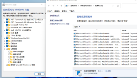 小修Windows11 22000.2713专业版