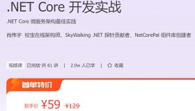 极客时间：.NET Core 开发实战