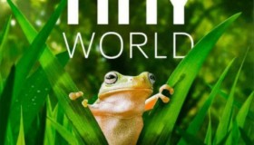 《小小世界》(2021) 4K 中字内嵌字幕 国语、英语两版本
