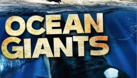 《海洋巨兽》BBC (2011) 1080P 中英硬字幕