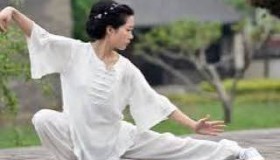 108式传统杨式太极拳视频教程