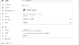 Google Chrome 谷歌浏览器v124.0.6367.61增强版