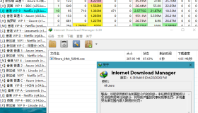 IDM v6.42.8绿色版 功能强大的多线程下载工具