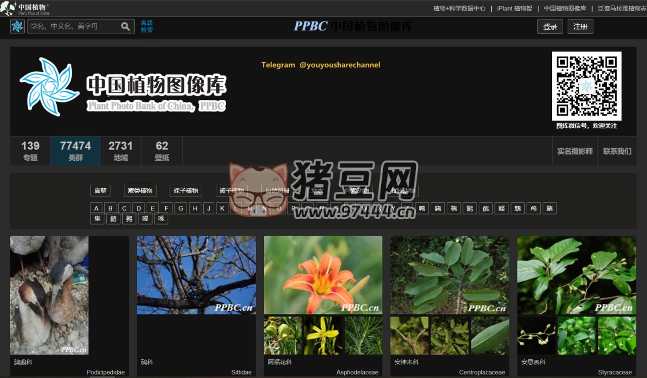 PPBC 中国植物图像库：最大的植物分类图片库