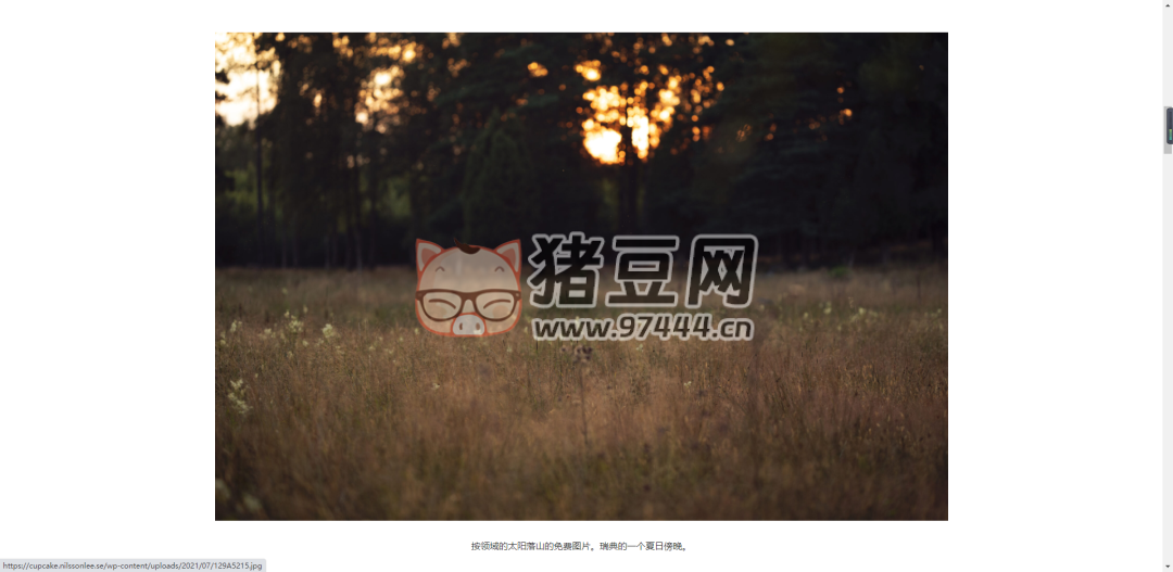 Cupcake：背景图图片素材网站