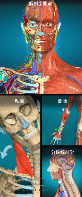 Anatomy Learning v2.1.392 3D 解剖学
