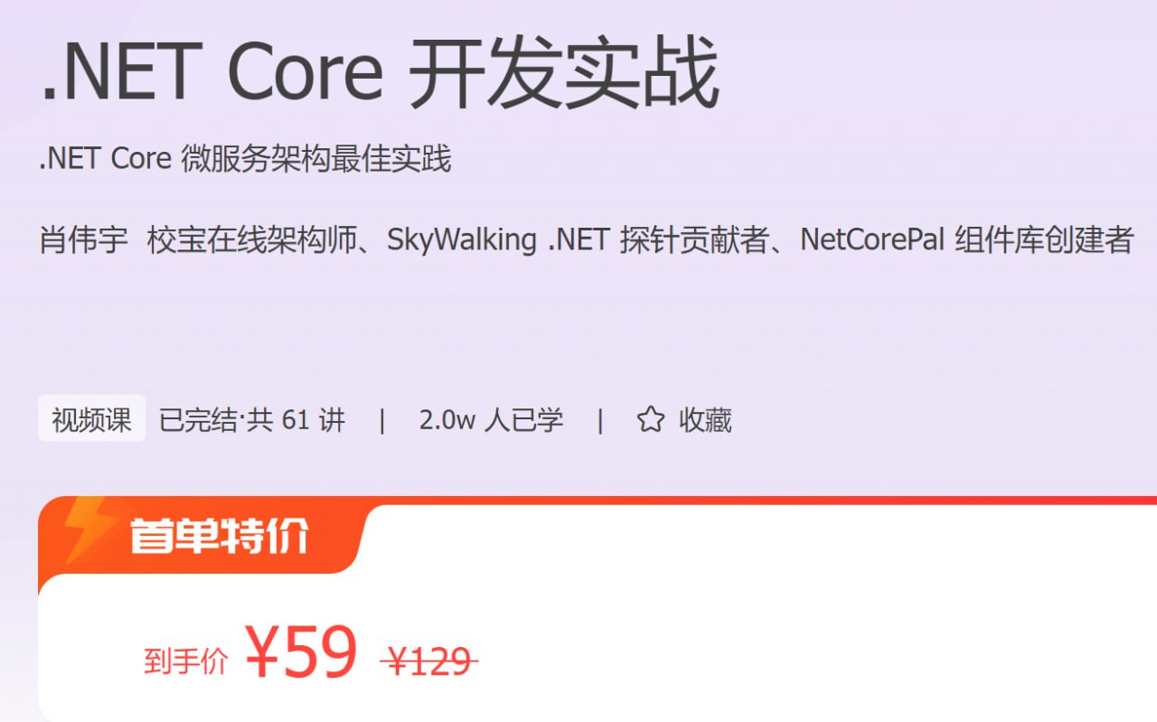 极客时间：.NET Core 开发实战
