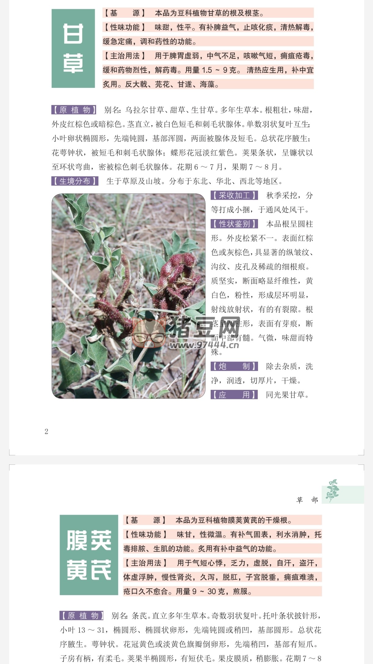 本草纲目原色图谱 800 例