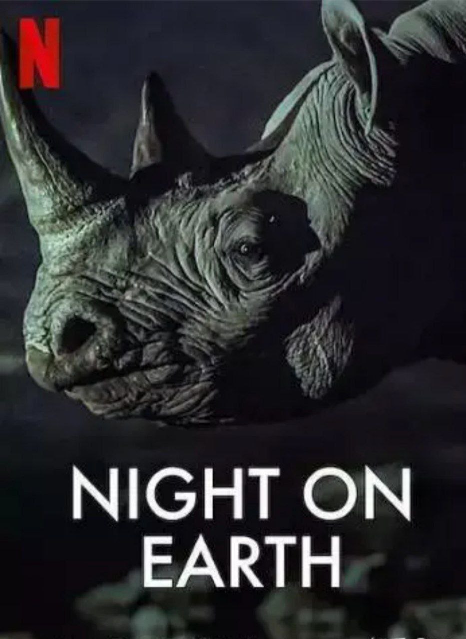 《地球的夜晚》(2020) 1080P 中字外挂字幕