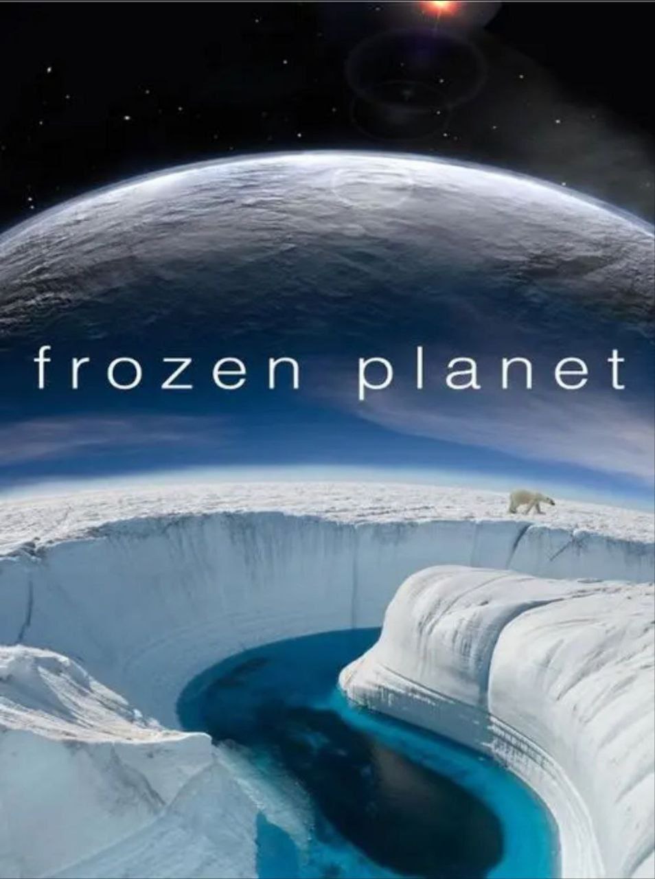 《冰冻星球》(2011) 1080P 国语