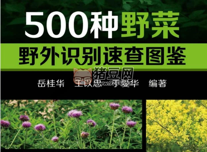 500 种野菜野外识别速查图鉴