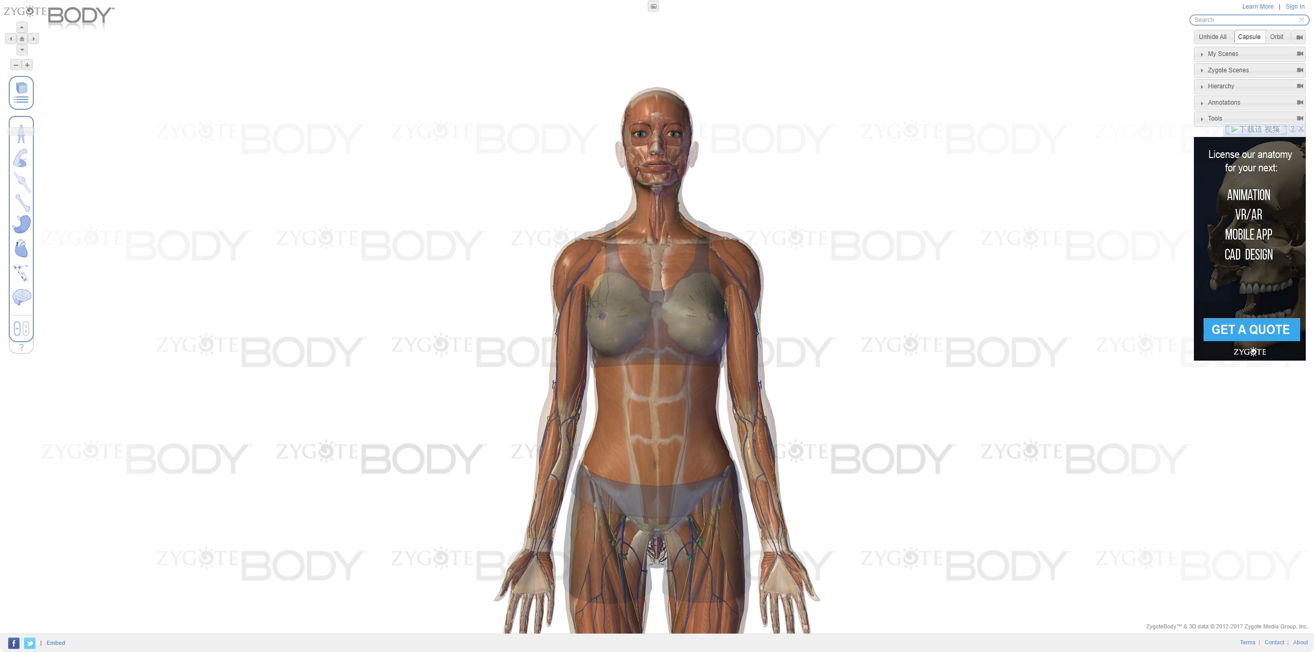 Zygote Body：人体 3D 解剖在线学习网站