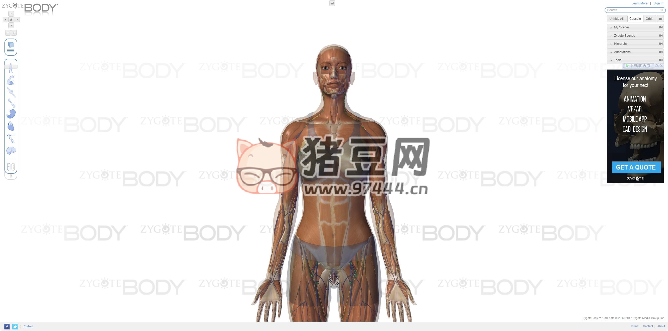 Zygote Body：人体 3D 解剖在线学习网站