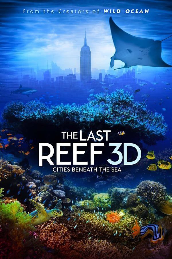 《最后的珊瑚礁》(2012) 4K REMUX(蓝光 原盘) 中英外挂字幕