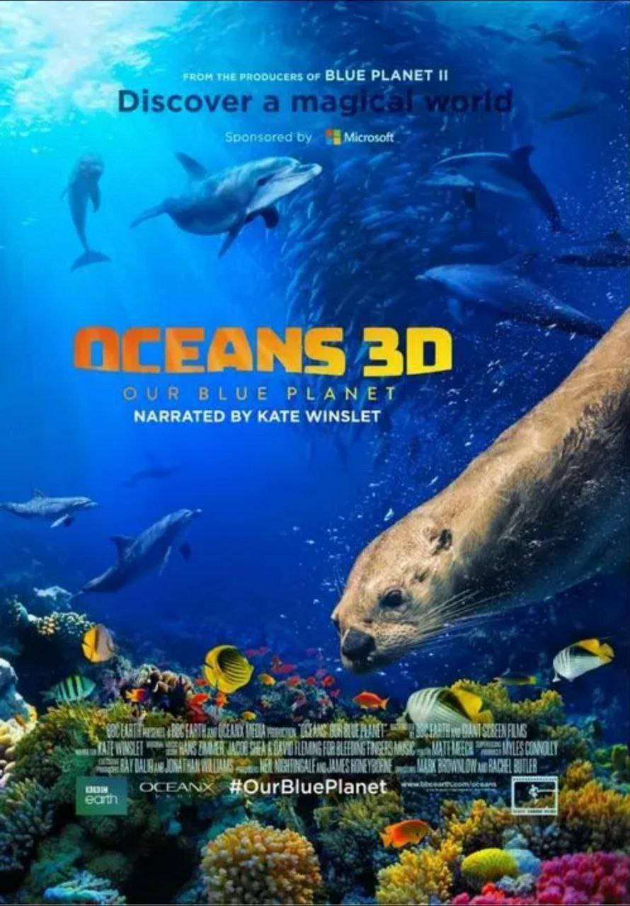 《海洋：我们的蓝色星球》(2018) 4K REMUX (蓝光 原盘) 中字外挂字幕
