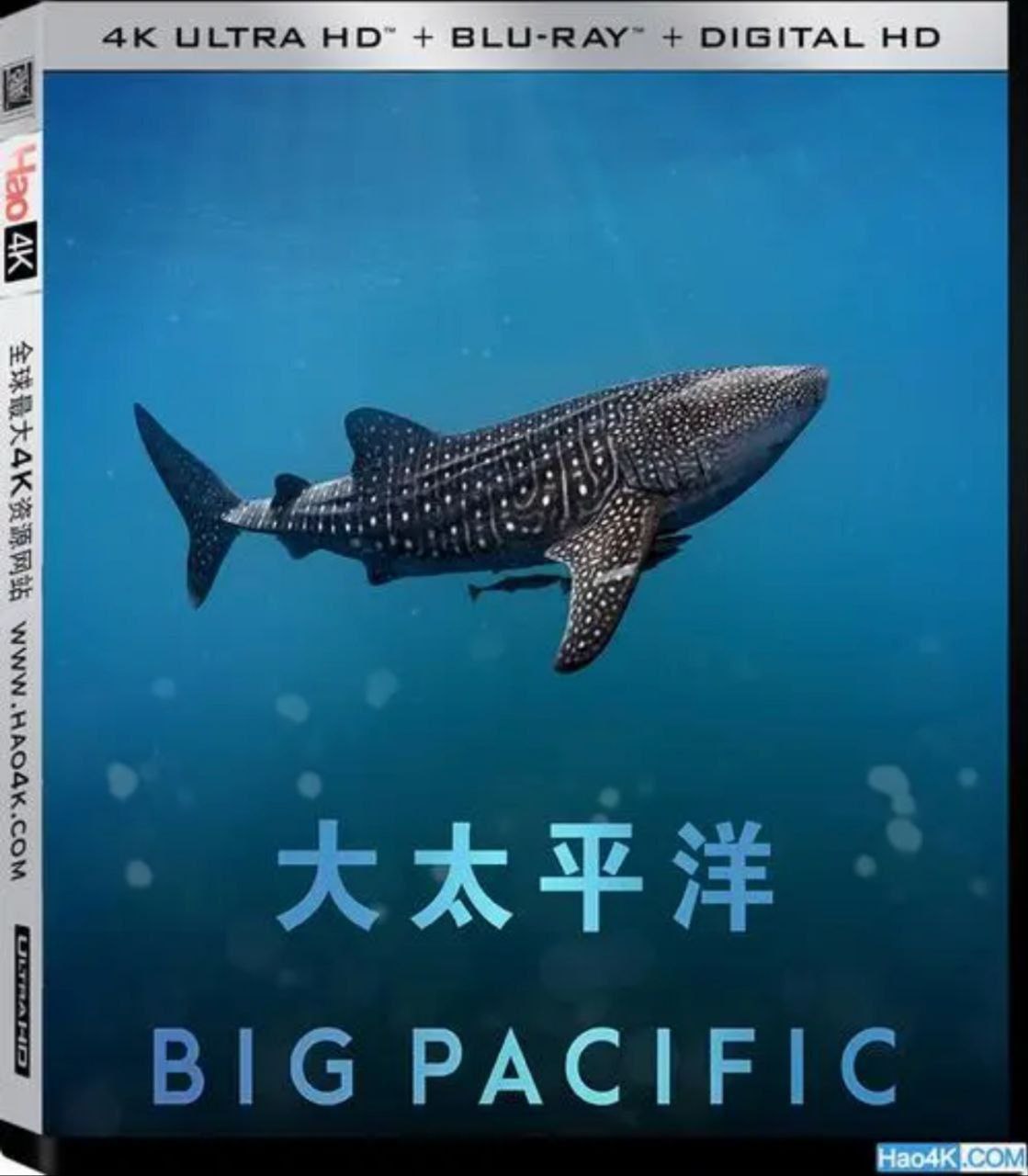 《大太平洋》(2017) 4K REMUX (蓝光 原盘) 中字外挂字幕