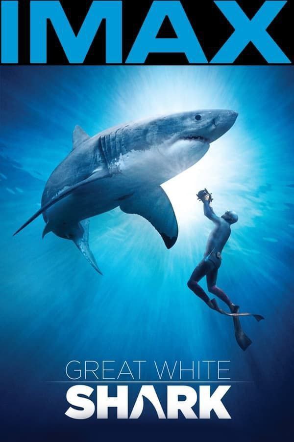 《大白鲨》(2013) 4K REMUX(蓝光 原盘) 中字外挂字幕