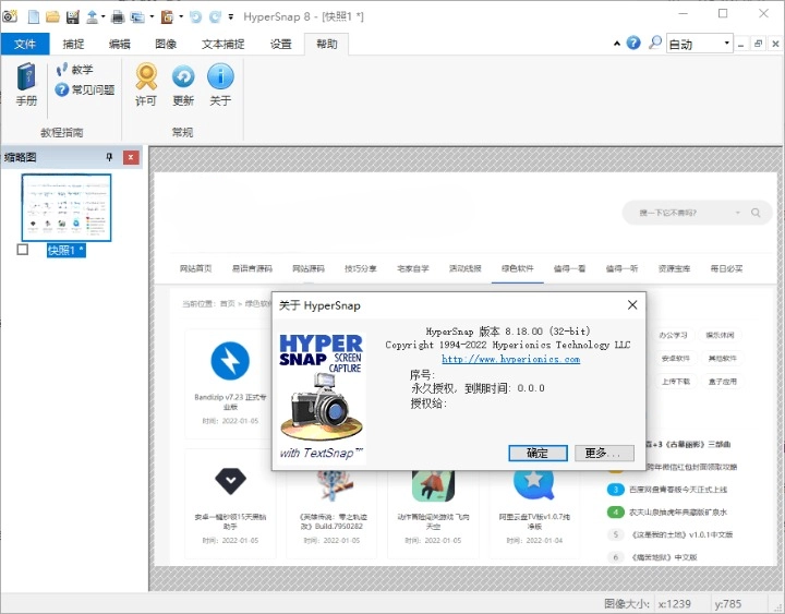 HyperSnap v9.5.00 便携汉化版 老牌屏幕截图软件