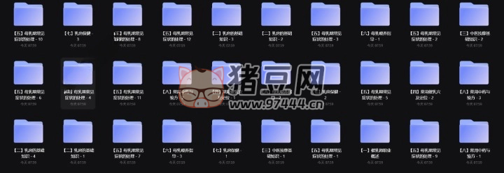 高级催乳师精品课程