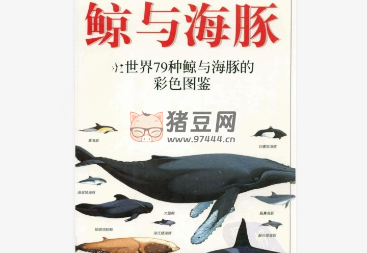 《鱼：全世界 300 种鱼的彩色图鉴 + 鲸与海豚：全世界 79 种鲸与海豚的彩色图鉴》电子书 5 册全