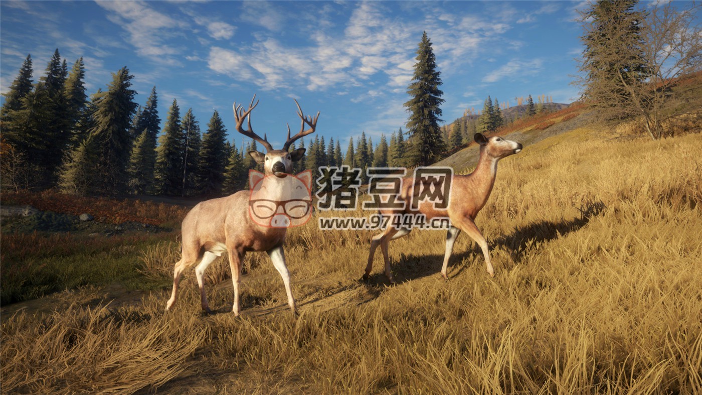 《猎人：野性的呼唤》v2777186 中文版