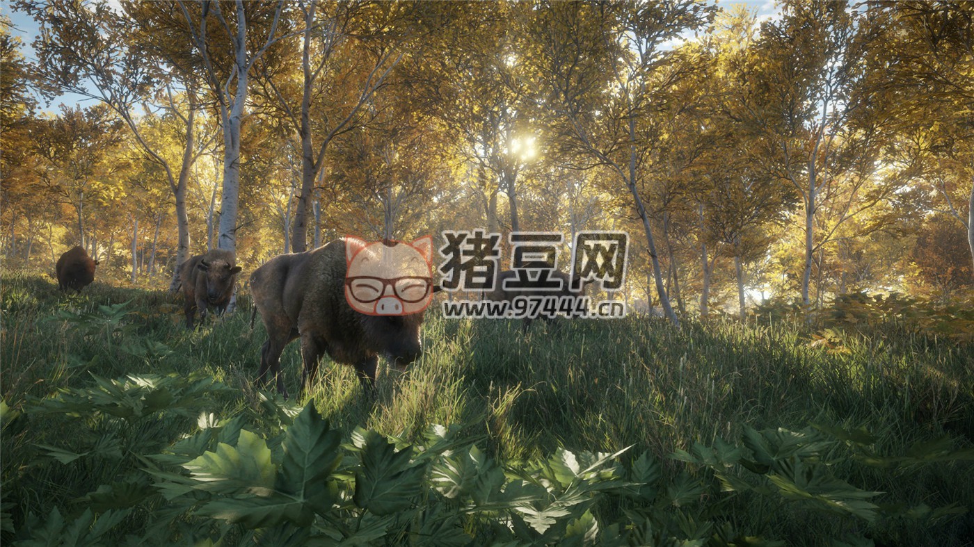 《猎人:野性的呼唤》v2777186 中文版 《猎人:野性的呼唤》v2777186 中文版