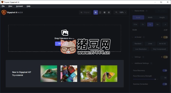 图片无损放大 Topaz Gigapixel AI
