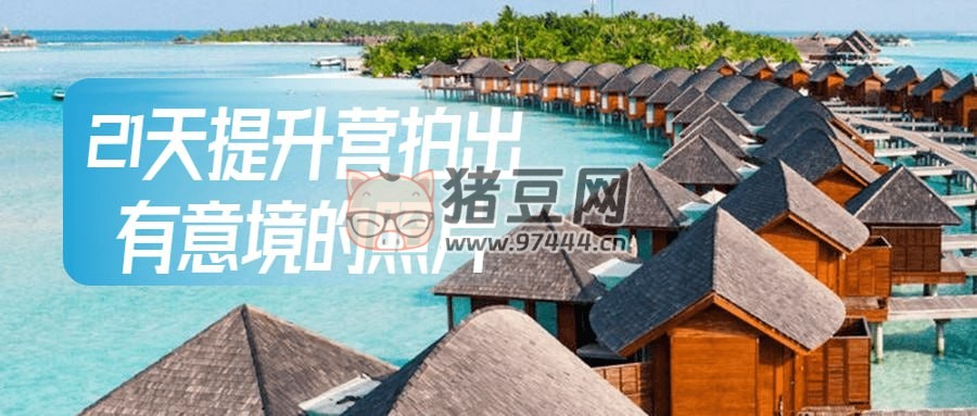 21 天提升营拍出有意境的照片