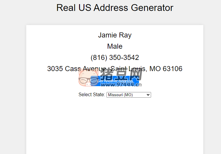 Real US Address Generator：真实美国地址生成器