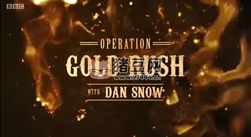 《淘金行动》纪录片 (2016)