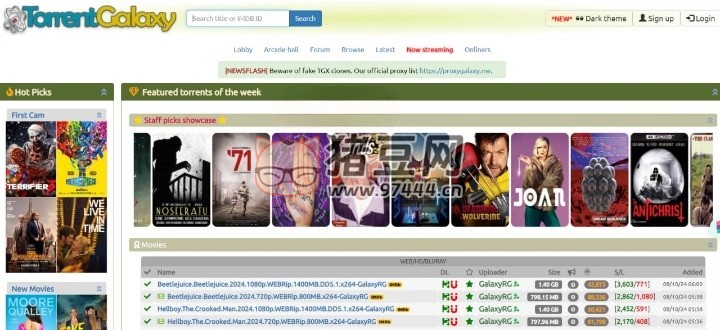 TorrentGalaxy：一个综合性的种子分享平台