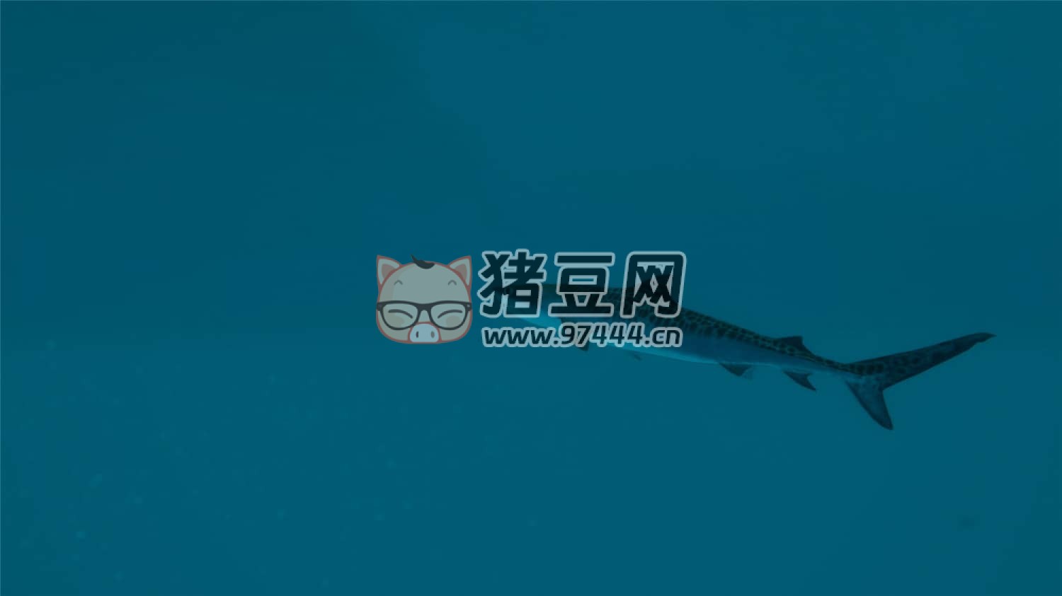 《终极钓鱼模拟器 2》中文版