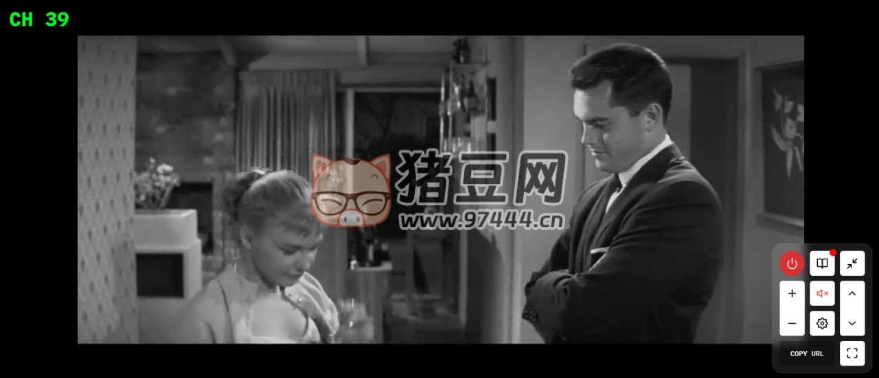 YTCH：电视版 YouTube