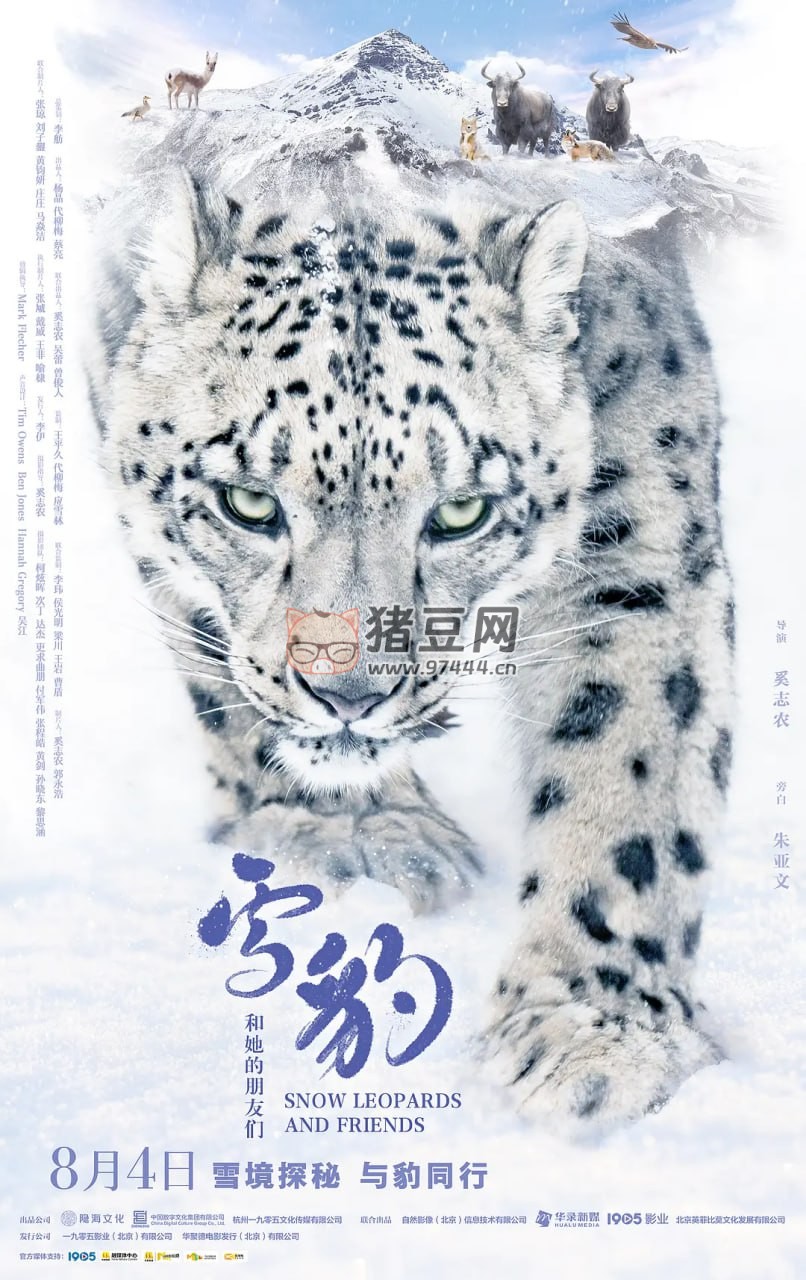 《雪豹和她的朋友们》纪录片 (2023)