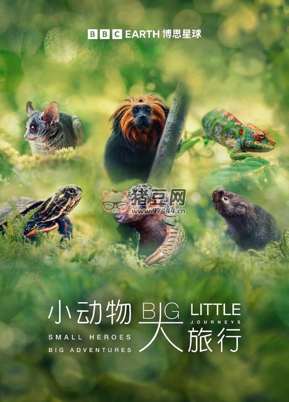 《小动物 大旅行》纪录片 第一季 Big Little Journeys Season 1 (2023)