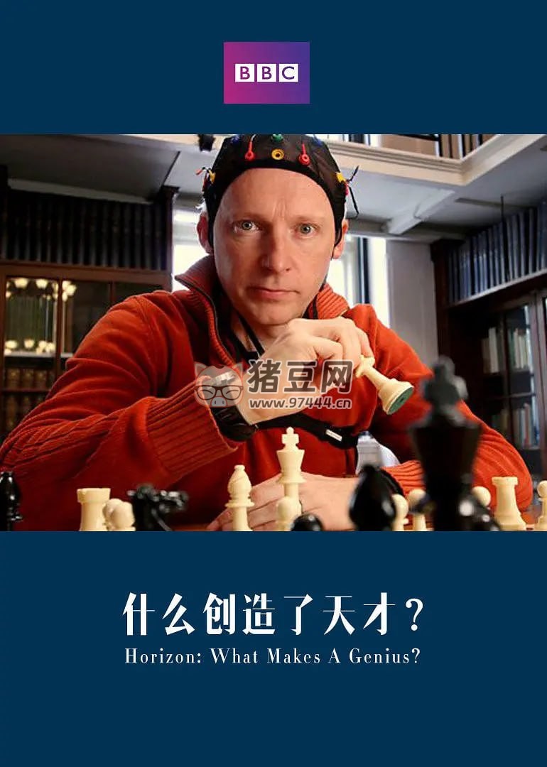 《地平线系列：天才是怎样炼成的？》纪录片 Horizon What Makes a Genius (2010)