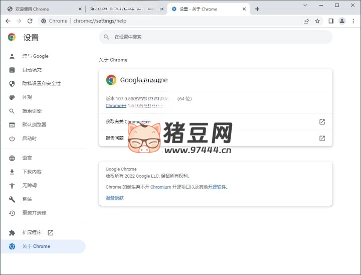 Google Chrome 谷歌浏览器 v131.0.6778.109 增强版