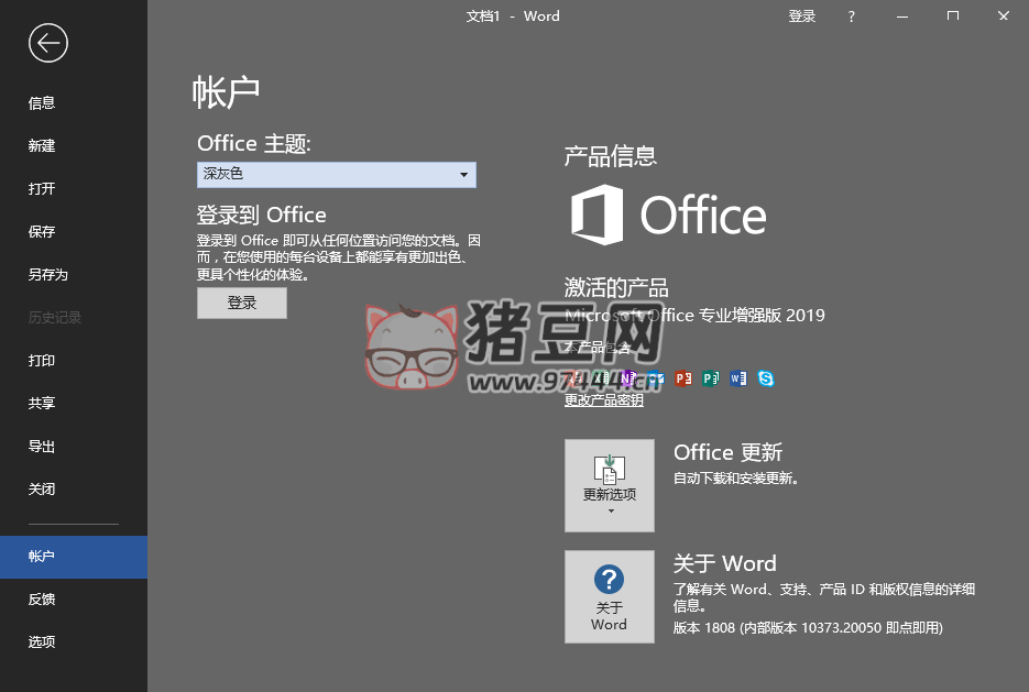 微软 Office 2019 24 年 12 月授权版
