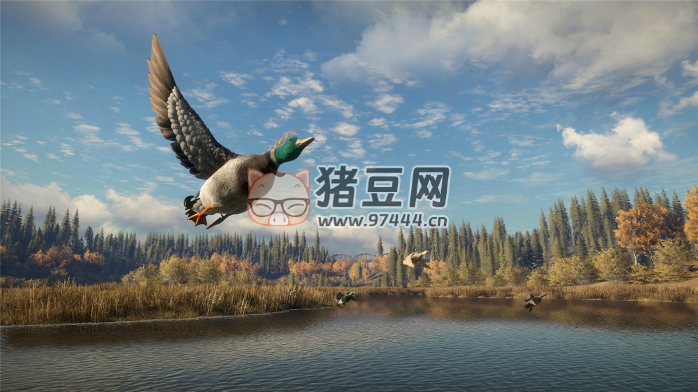 《猎人：野性的呼唤》v2903389 中文版