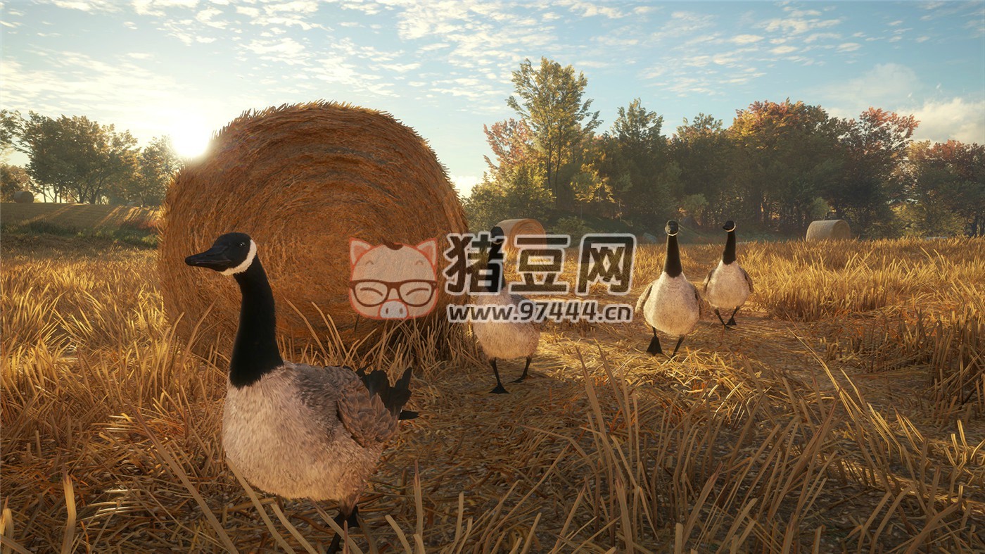 《猎人：野性的呼唤》v2903389 中文版