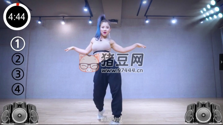 各种舞蹈视频教程合集 各种舞蹈视频教程合集