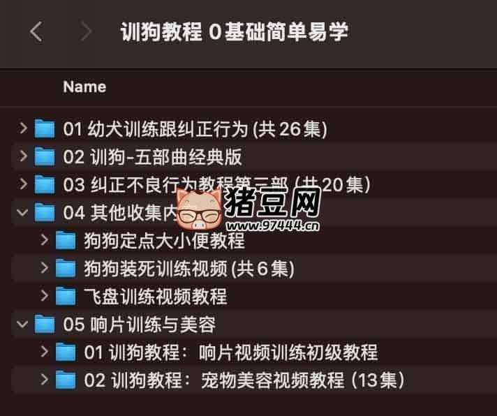 训狗师专业指导零基础自学宠物训练犬课程