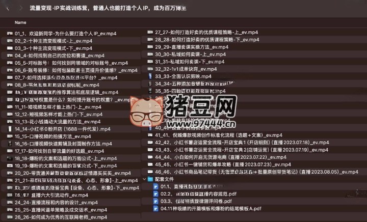 流量变现 IP 实战训练营：普通人也能打造个人 IP，成为百万博主